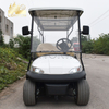 Electric Cart-Golf